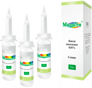 Минисем